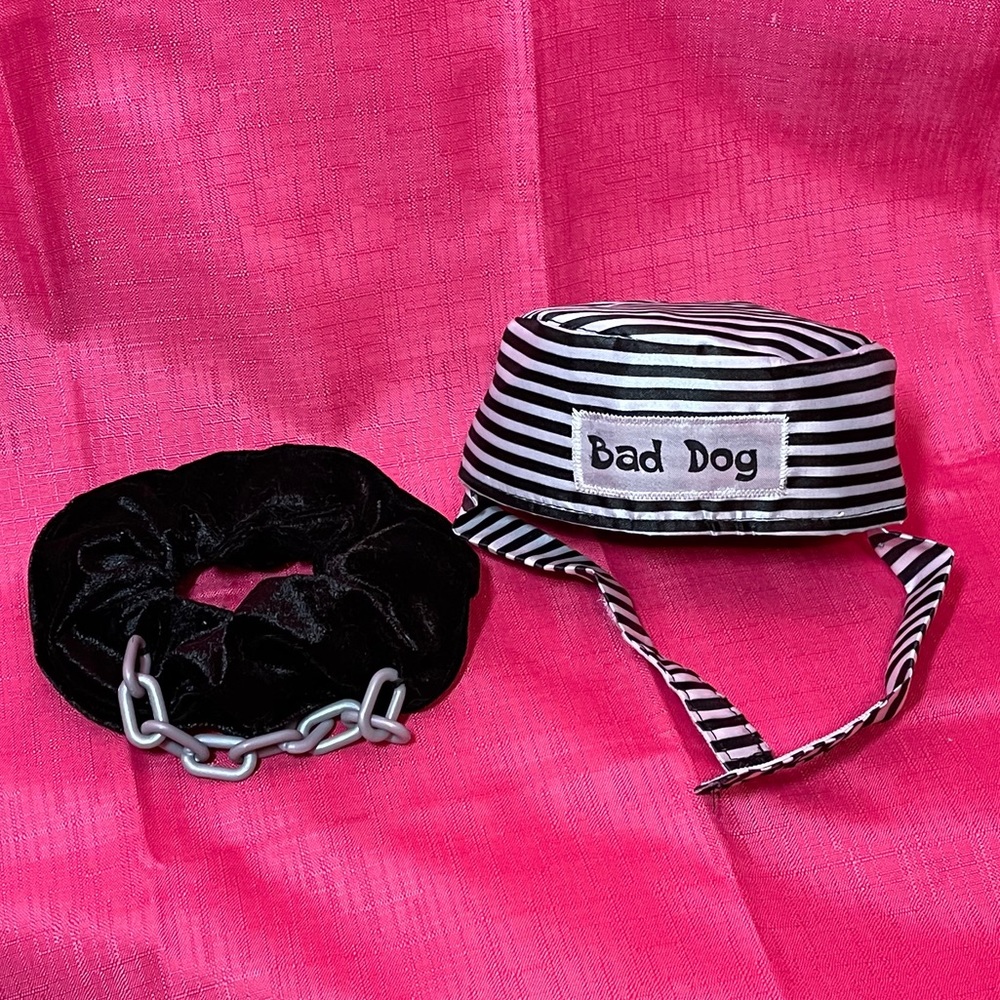 BAD DOG HAT & COLLAR ONE SIZE